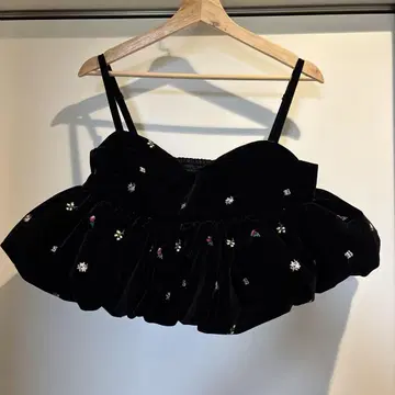 bibiy. B. STARRY BUSTIER