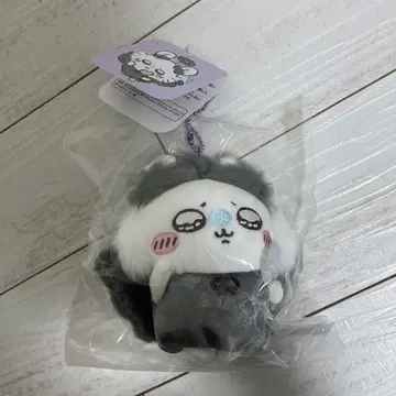 치이카와 (먼작귀) 계절이잖아 마스코트 모몽가