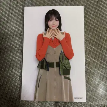후르츠 지퍼 하차메차 와차 라이프! 라쿠텐 한정판 스티커 진제이 스즈카