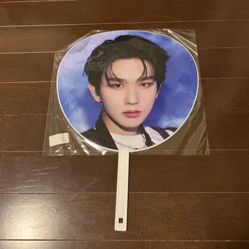 EPEX 백승 부채