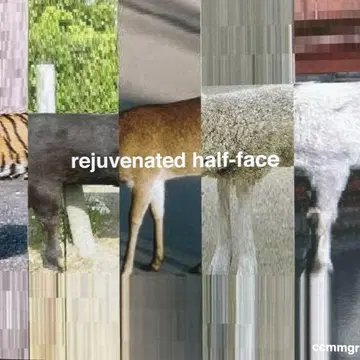 rejuvenated half-face ccmmgr 단종 잔향 레코드