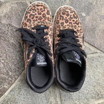 리복 클럽 C 표범 무늬