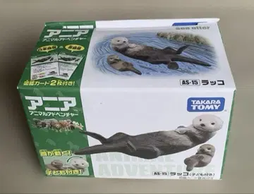 AS-15 아니아 랏코 (어린이 포함) [단종]