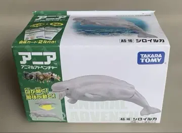 AS-16 아니아 흰돌고래 [ 단종 ]