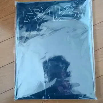 SnowMan RAYS 팜플렛