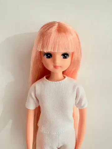 리카짱 캐슬 2025년 2월 리카짱 & 프렌즈 클럽 살몬 핑크