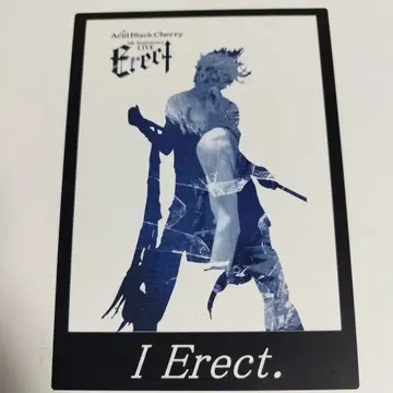 Acid Black Cherry Erect 실루엣 아트 씰 스티커