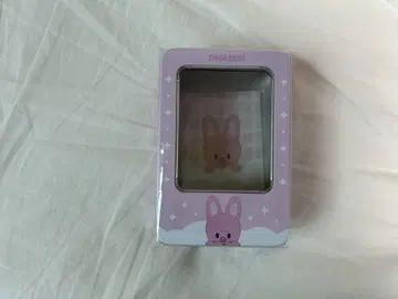 창빈 케이스