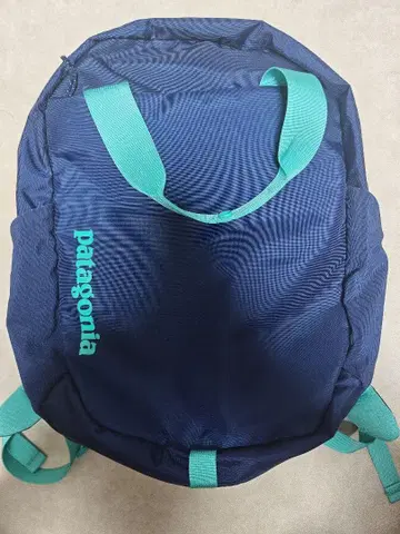 Patagonia 2WAY 백팩 네이비 x 민트 그린 새상품급