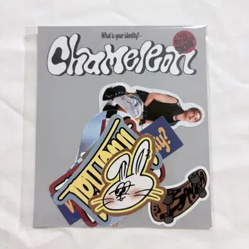 ASTRO 윤산하 사나 chameleon POPUP 스티커