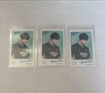 이토시 린 에고 페스티벌 사진풍 카드