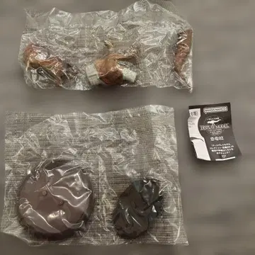 공룡02 생물대도감 티라노사우루스