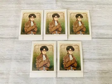 진격의 거인 파샤코레 리바이