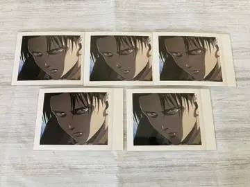 진격의 거인 파샤코레 리바이