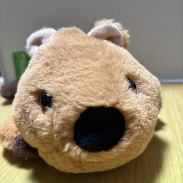 쿼카 펜 케이스