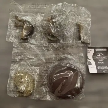 공룡01 생물대도감 티라노사우루스
