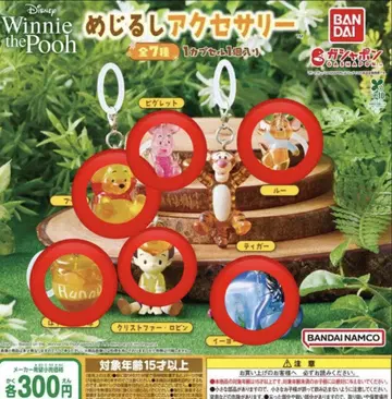 Winnie the Pooh 곰돌이 푸 메지루시 액세서리