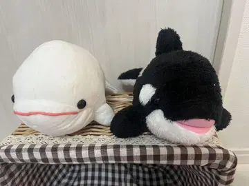 [ 새상품급 ] 범고래 벨루가 봉제 인형 2개 세트 카모가와 씨 월드