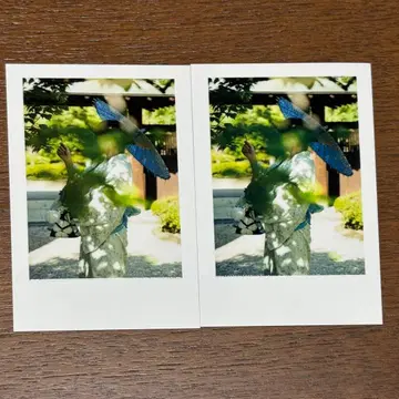 이레이스 -hotoke- 폴라로이드풍 트레이딩 카드