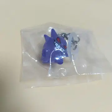 포켓몬 메지루시 액세서리 겐가