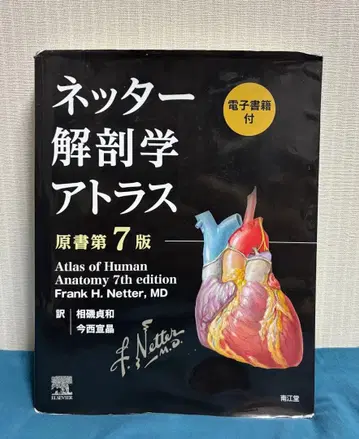 네터 해부학 아틀라스 원서 제7판 미사용