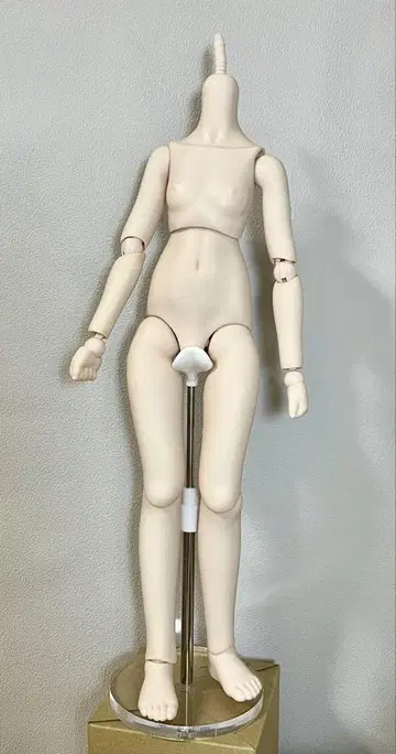 MDD 바디 세미 화이트 하자 있음 굿 핸드