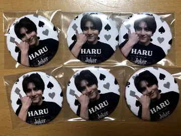 초특급 하루 Joker 캔뱃지