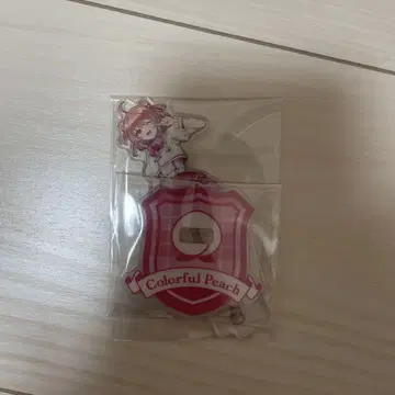 컬러풀 피치 노아 아크릴 스탠드