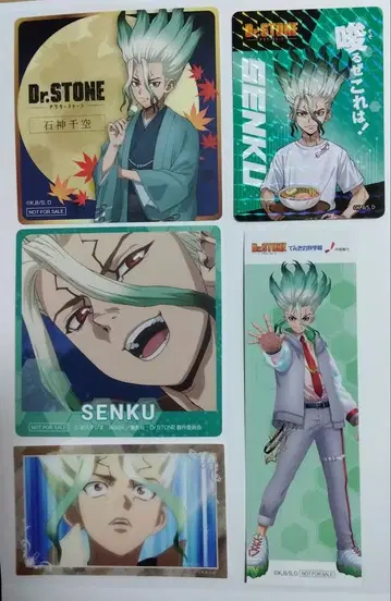 Dr.STONE 센쿠 세트