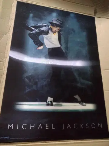 귀중 경질 플라스틱제 추모 마이클 잭슨 3D 포스터