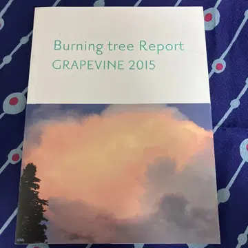 GRAPEVINE 2015 투어 팜플렛