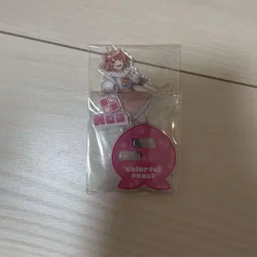 컬러풀 피치 노아 아크릴 스탠드