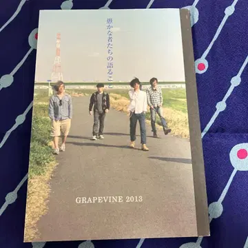 GRAPEVINE 2013 투어 팜플렛