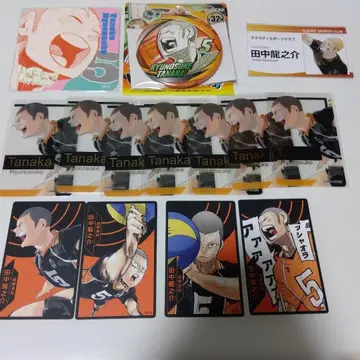 타나카 류노스케 하이큐 팬파크