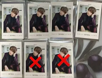 우라시마사카타센 센라 원맨 Brun 폴라로이드 포토 카드