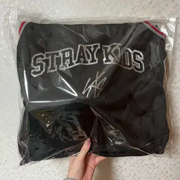 미개봉 새상품 straykids 스키즈 아푸그레 dominATE 에코파