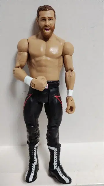 마텔사판 WWE 프로레슬링 피규어 사미 제인