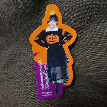 할로쇼 프레이크 씰