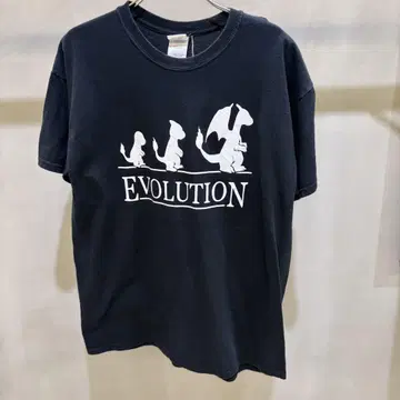 포켓몬 파이리 리자몽 진화
