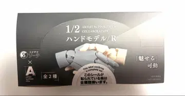 1/2 핸드 모델 R