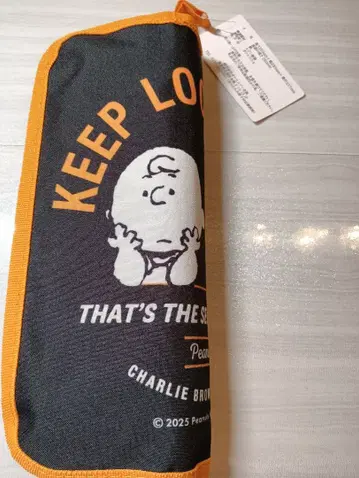 [ PEANUTS ] 찰리 브라운&스누피 접이식 의자