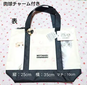 시마무라 모치마루 일기
