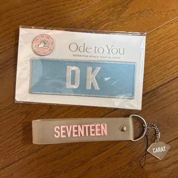 SEVENTEEN DK 도겸 와펜 키링 포토 카드
