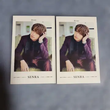 센라 폴라로이드 포토 카드 Brun