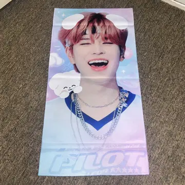straykids 승민 슬로우건 마스터
