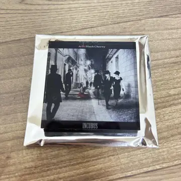 Acid Black Cherry 아크릴 마그넷 B INCUBUS
