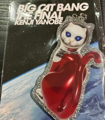KENJI YANOBE SHIP'S CAT 키링