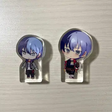 프로세카 아오야기 겨울 코롯토