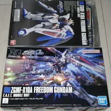 HG 1/144 프리덤 건담