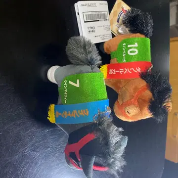 서러브레드 컬렉션 다논 벨루가 윈 마이티
